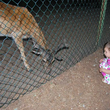 Palazzo De Matteis فندق مبيت وإفطار سان سيفيرو