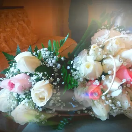 فندق مبيت وإفطار Palazzo De Matteis