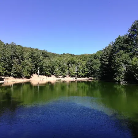 Palazzo De Matteis 4* 산세베로