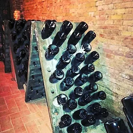 Palazzo De Matteis 4* 산세베로